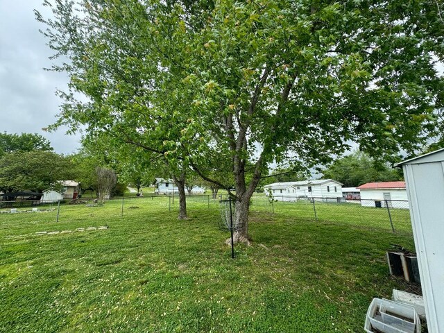 view of yard featuring a storage shed