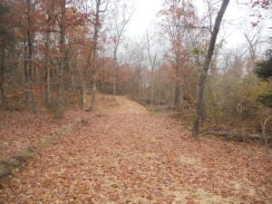 NC-3510, Western Grove AR, 72685 land for sale