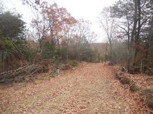 Listing photo 2 for NC-3510, Western Grove AR 72685