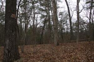 NC-3855, Hasty AR, 72640 land for sale