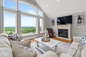 living room featuring vaulted ceiling and wood-type flooring