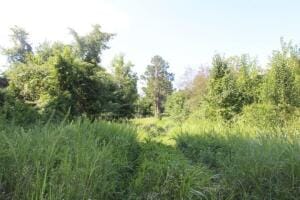 000 Capps Rd, Harrison AR, 72601 land for sale