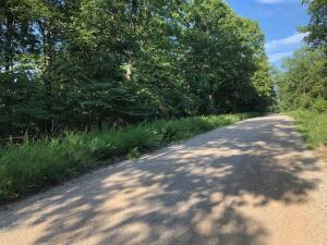 00 Airpark Dr, Yellville, AR 72687 - photo 4