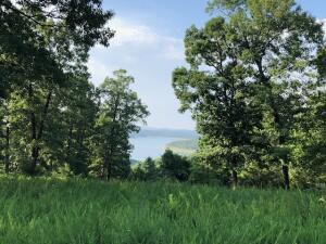 00 Airpark Dr, Yellville, AR 72687 - photo 1