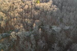 NC-8482, Deer, AR 72628 - photo 12