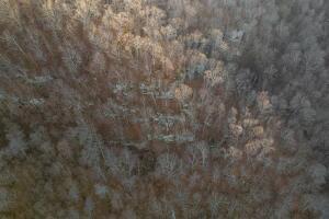 NC-8482, Deer, AR 72628 - photo 8