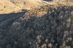 NC-8482, Deer, AR 72628 - photo 9