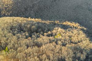 NC-8482, Deer, AR 72628 - photo 7