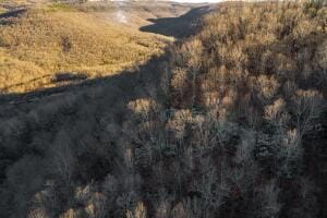 NC-8482, Deer, AR 72628 - photo 13