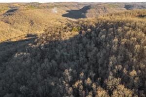 NC-8482, Deer, AR 72628 - photo 10