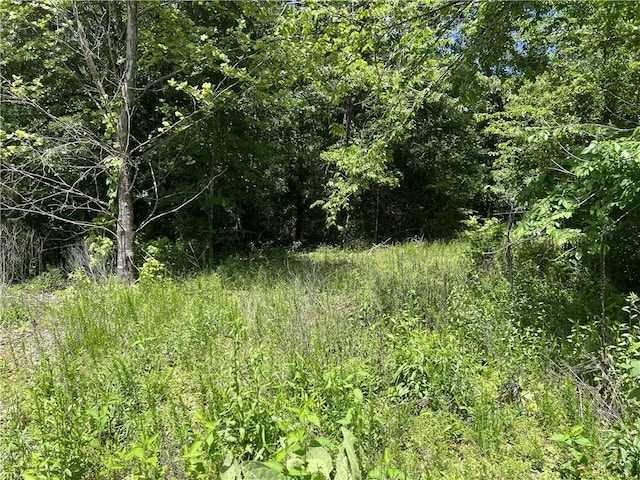 S Woolum Rd, Saint Joe AR, 72675 land for sale