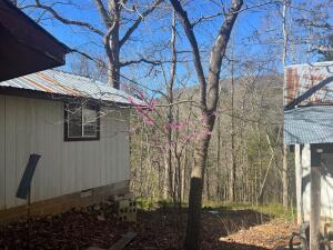 2724 NC-6370, Mount Judea, AR 72655 - photo 5
