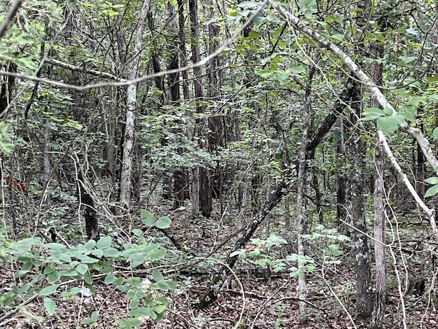 Cedar Creek Dr, Harrison, AR 72601