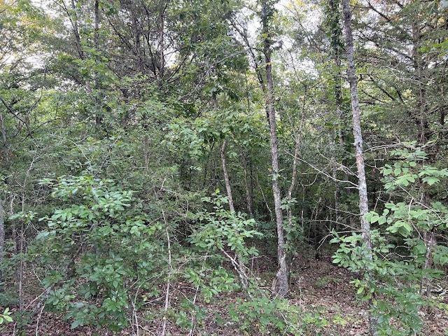 Cedar Creek Dr, Harrison, AR 72601