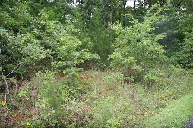 Listing photo 3 for LOT13 Lela Ct, Harrison AR 72601