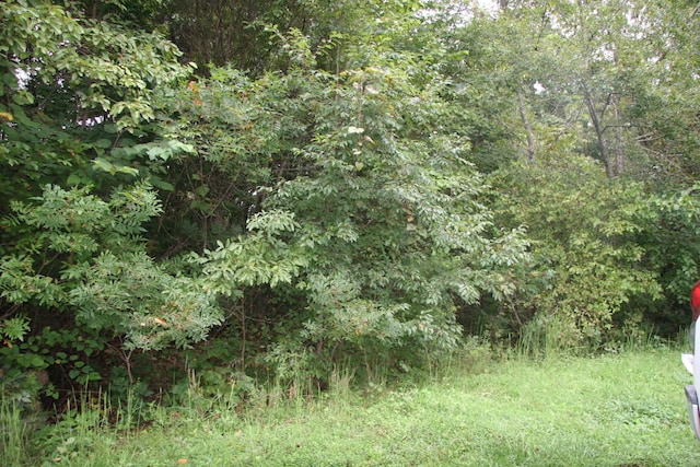 Listing photo 2 for LOT13 Lela Ct, Harrison AR 72601