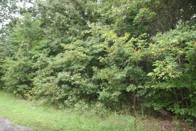 LOT13 Lela Ct, Harrison AR, 72601 land for sale