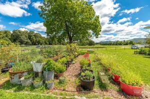 view of yard with a rural view and a vegetable garden