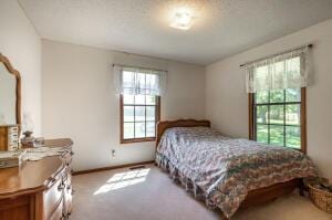 bedroom featuring carpet