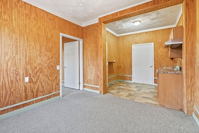 spare room featuring wood walls and crown molding