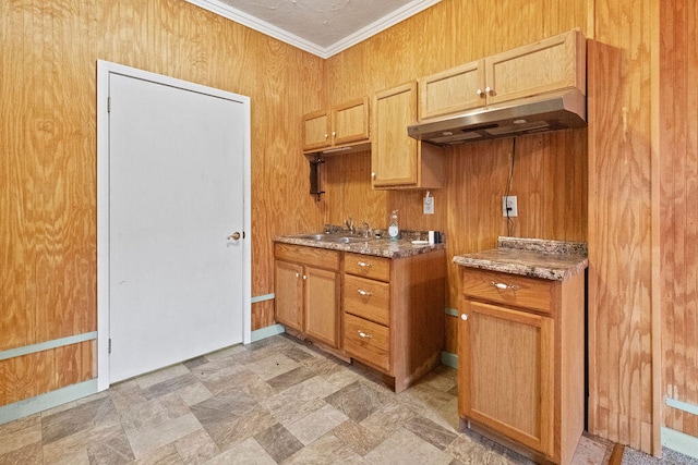 kitchen featuring sink, wood walls, and ornamental molding