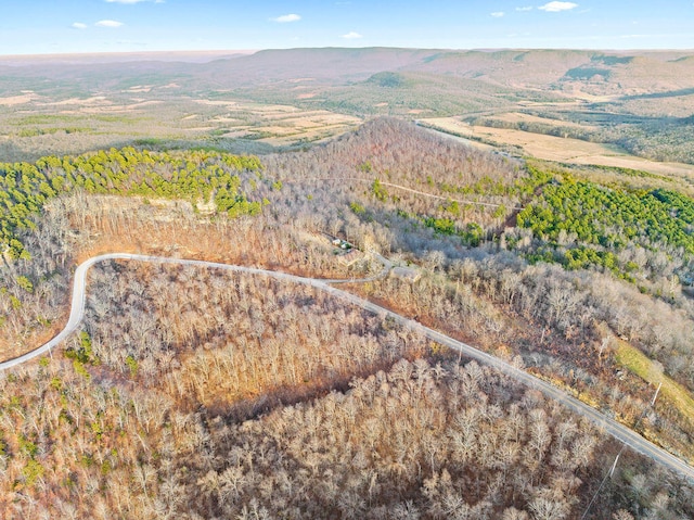 drone / aerial view with a mountain view