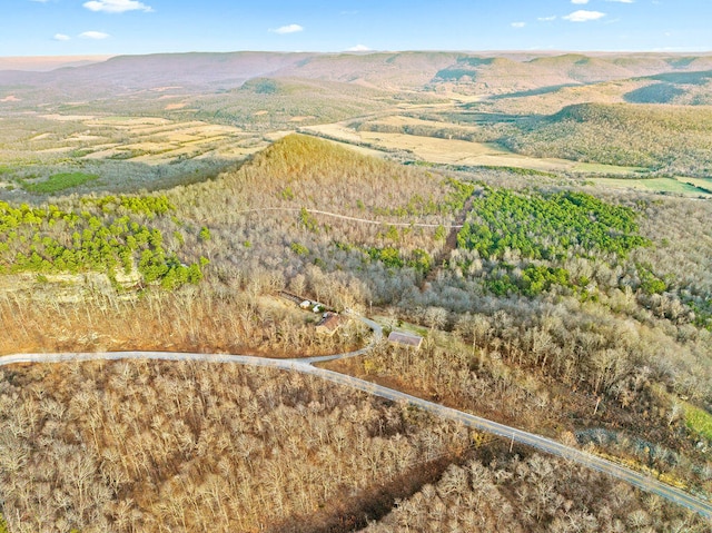 bird's eye view featuring a mountain view