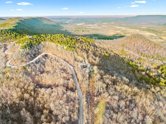 bird's eye view with a mountain view