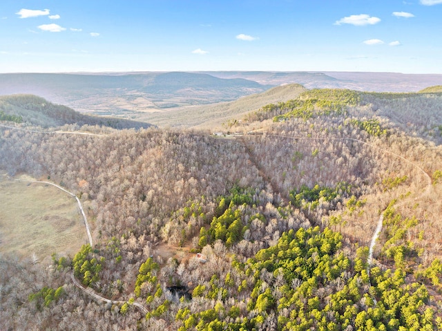 property view of mountains