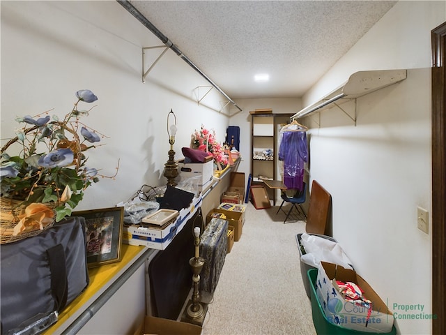 403 Normandy St, Harrison, AR 72601 - walk in closet with light carpet