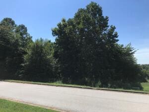 1316 W Holt Ave, Harrison AR, 72601 land for sale