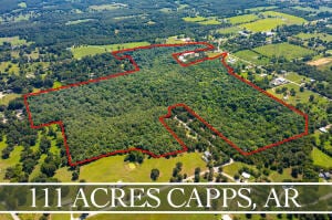 Old Capps Rd, Harrison AR, 72601 land for sale