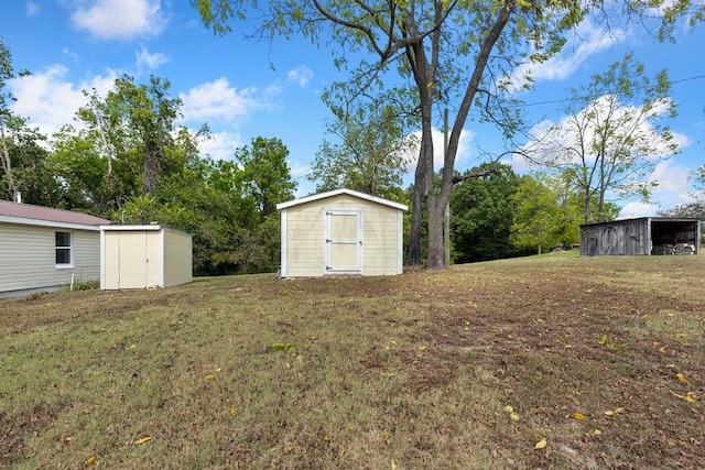 view of yard featuring a storage unit