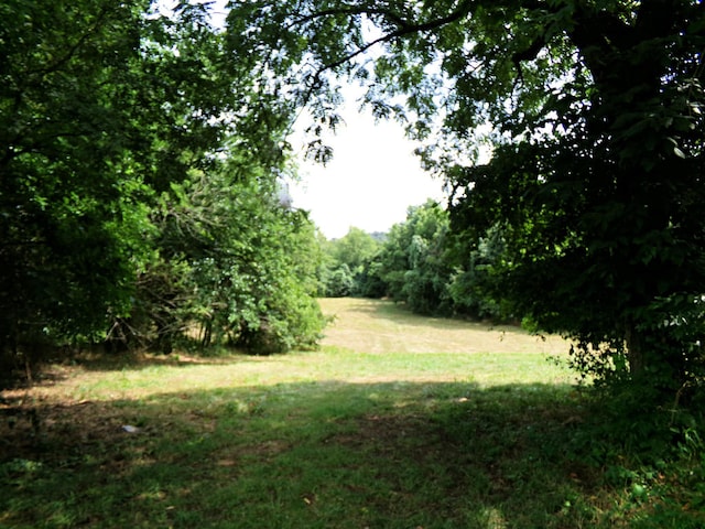 view of landscape