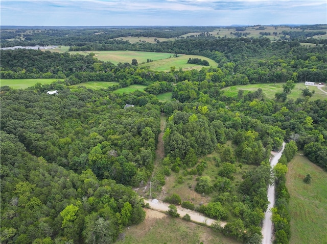 bird's eye view