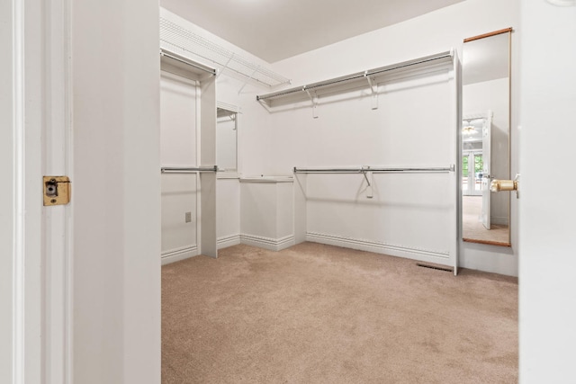 walk in closet with light carpet