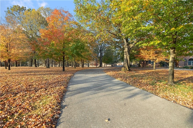 view of street