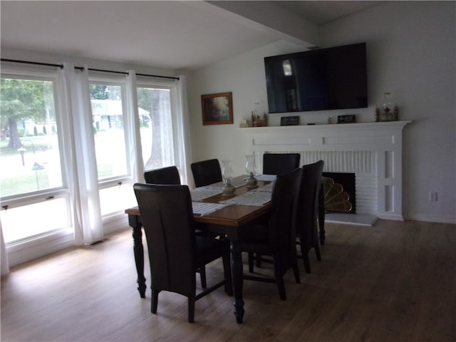 dining space with a wealth of natural light, a fireplace, and hardwood / wood-style floors