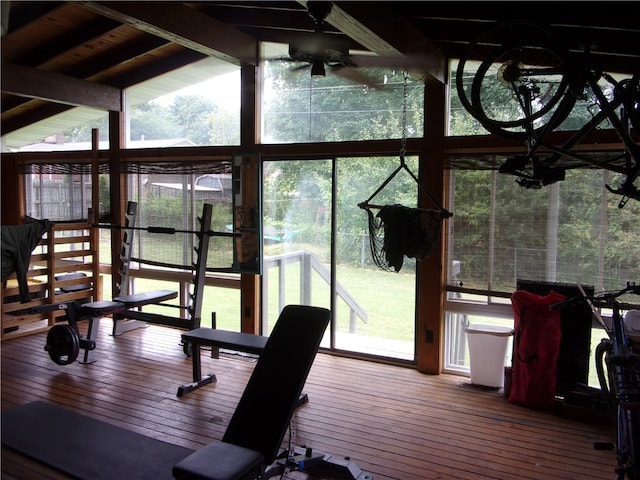 workout room with hardwood / wood-style flooring and expansive windows