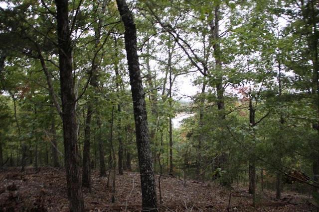 Listing photo 2 for LOT42 Webbs Landing Ln, Yellville AR 72687