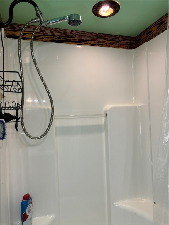 interior details featuring walk in shower