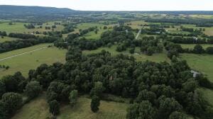 S Fork Creek Rd, Harrison AR, 72601 land for sale