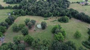 S Fork Creek Rd, Harrison, AR 72601 - photo 10