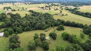 S Fork Creek Rd, Harrison, AR 72601 - photo 11