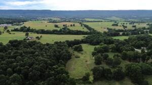S Fork Creek Rd, Harrison, AR 72601 - photo 15