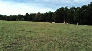 S Fork Creek Rd, Harrison, AR 72601 - photo 5