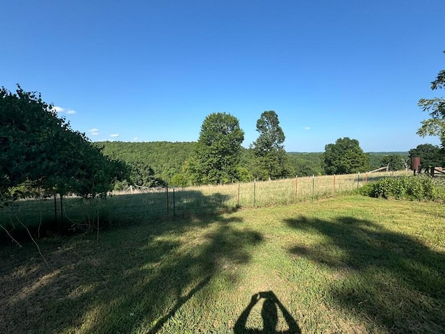 view of yard featuring a rural view