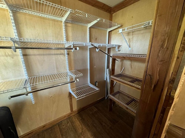 walk in closet with wood-type flooring