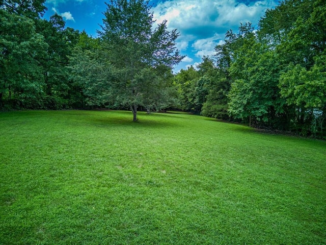 view of yard featuring a wooded view