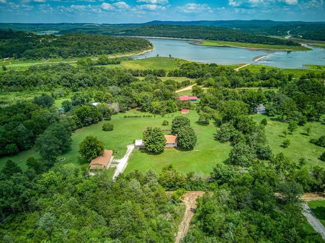 bird's eye view featuring a water view and a wooded view